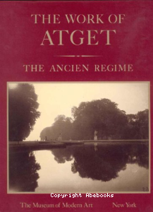 vignette