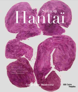 Simon Hantaï vignette